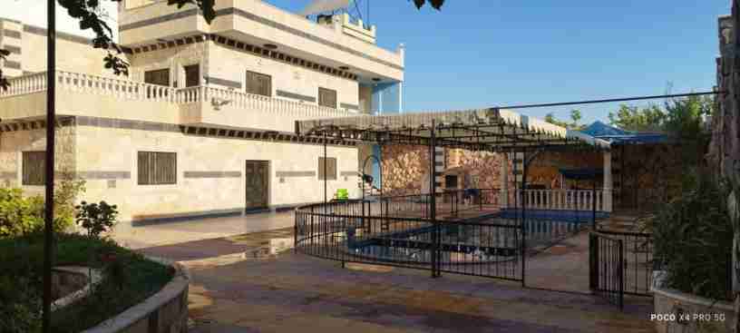 mzraa-alhryry-llaygar-alyomy-alasboaay-alshhry-big-3